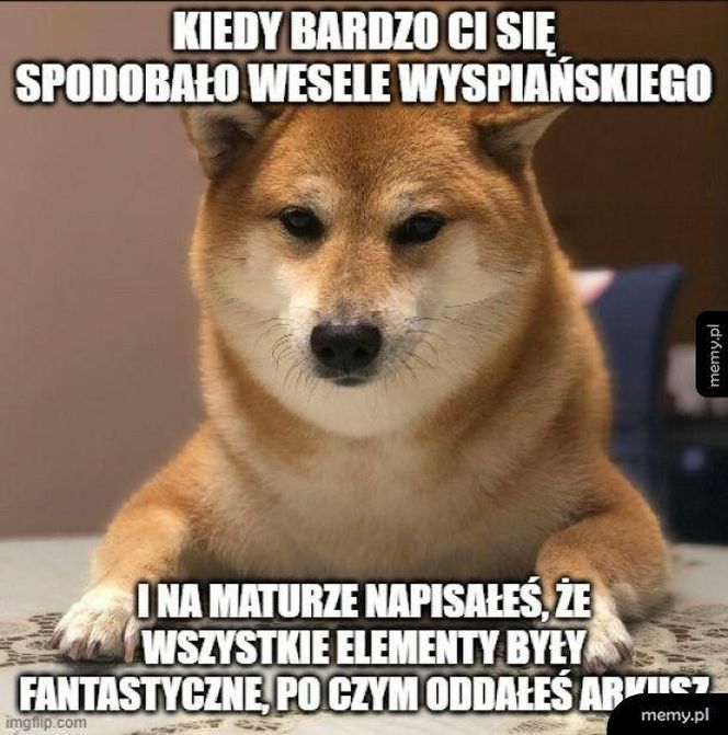 Memy o maturze