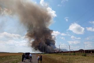 Pożar na składowisku odpadów w Przysiece Polskiej