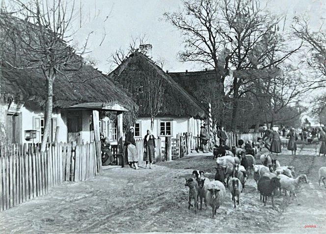 Wieś w woj. lubelskim