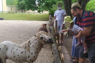 Ojciec 3-letniej Helenki nie przestanie walczyć o dziecko