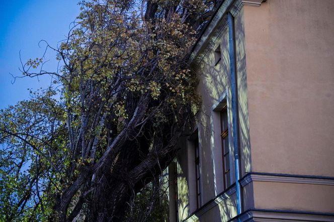 Polska pod naporem wichur! Strażacy nie mieli chwili wytchnienia