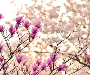 Życzenia na DZIEŃ MATKI 2025. Wyjątkowe i wzruszające rymowanki z okazji święta mam! [26.05.2025]