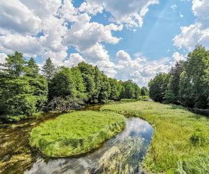Najlepsze trasy wodne na Podlasiu na letni weekend