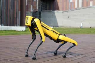 Robotyczny pies z Centrum Nauki Kopernik szuka imienia! Możecie wymyślić je wy!