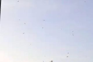 Miliony owadów nad mostem Zygmuntem Starego