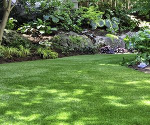 Kiedy i jak wykonać wapnowanie trawnika?