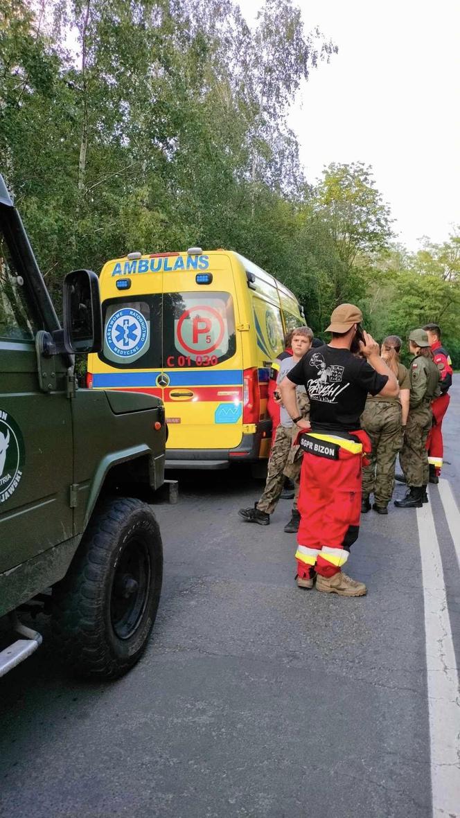 Znaleźli w lesie małe dziecko. Nikt jeszcze nie wiedział, że zaginęło  