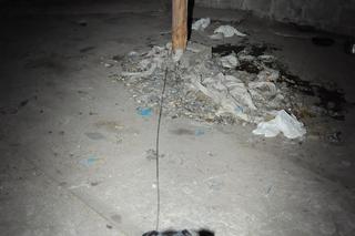 Makabryczne odkrycie pod Tczewem. Zatrzymali 58-latka podejrzanego o znęcanie się nad zwierzętami