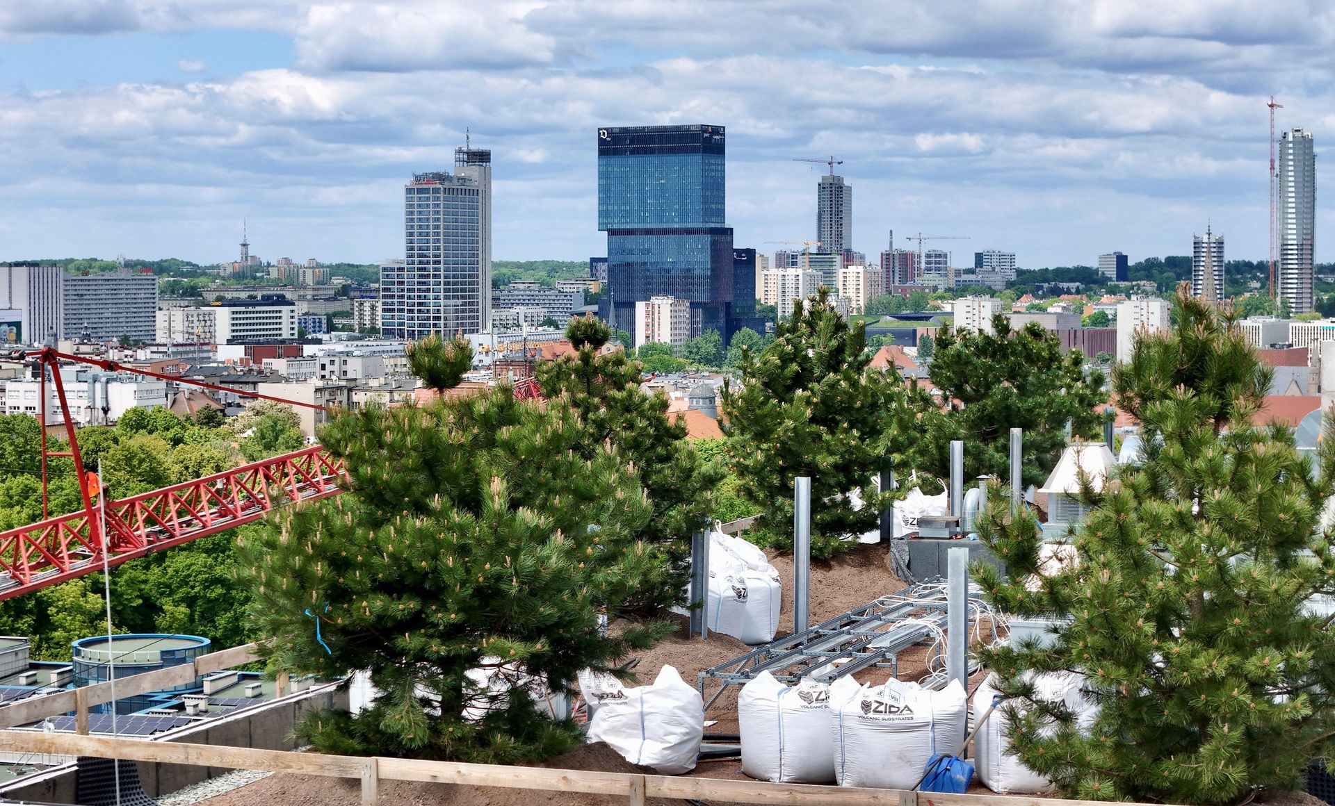 Pionowy lat w Katowicach na budynku Damrota Garden