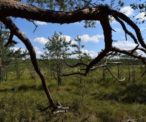 Powiat białostocki to największy powiat w Polsce. Zobacz jego atrakcje