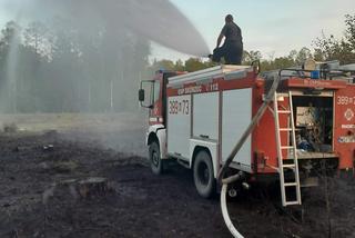 Pożary lasów w powiecie siedleckim. „Podejrzewamy, że to podpalenia” 