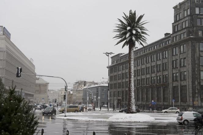 Pozdrowienia z Alej Jerozolimskich