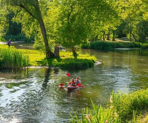 Oto najlepsze miejsce do życia na Mazowszu. Zielona oaza tuż pod Warszawą. Ranking top 10 według AI