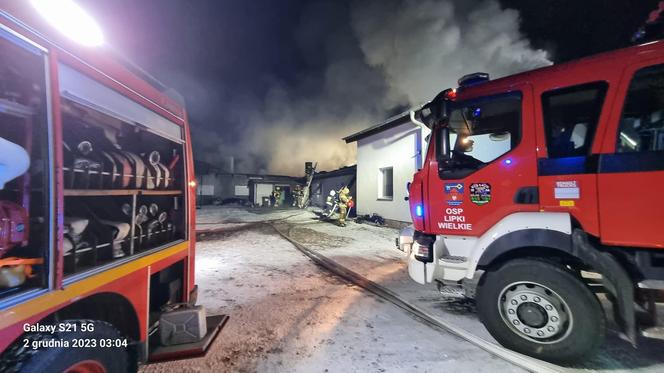 Pożar kurnika połączonego z budynkiem mieszkalnym pod Gorzowem