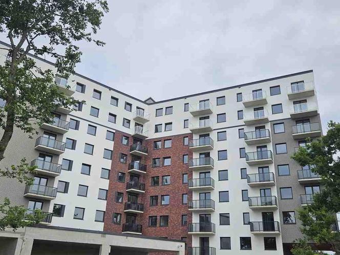 Port Popowice we Wrocławiu - kolejny etap w budowie