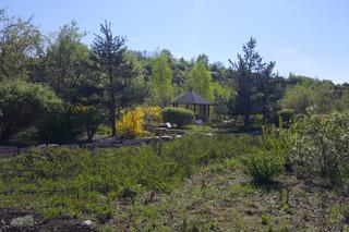 W Jaworznie powstanie tężnia solankowa