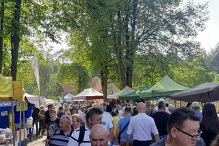 Tłumy na dożynkach w Olsztynku. Zobacz, jak bawili się mieszkańcy Warmii i Mazur [ZDJĘCIA]