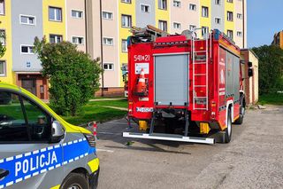 Kot zaklinował się w uchylonym oknie