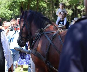 Jarmark koński w lubelskim skansenie przyciągnął tłumy