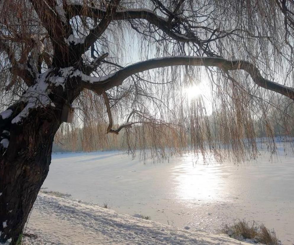 Opady śniegu i niska temperatura na Śląsku