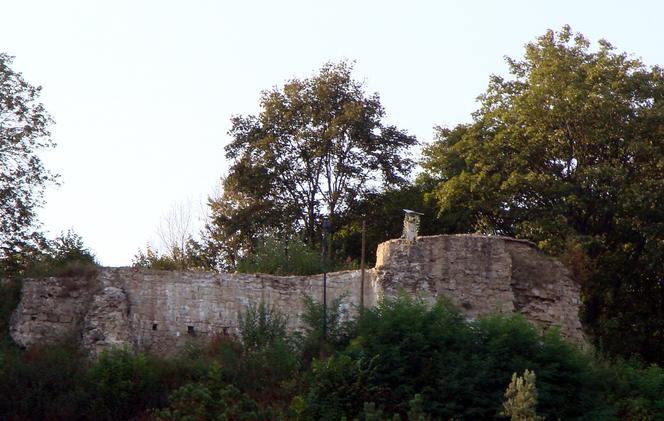 Ruiny Zamku w Muszynie