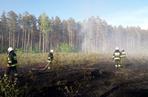 Spłonął las. Leśnicy apelują o rozsądek
