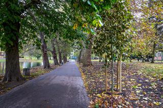  ​Nowe drzewa i podbudowa pod trawnik pojawiły się w Parku Wiosny Ludów w Gorzowie
