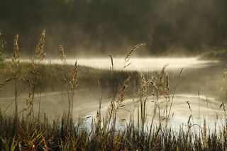 W tych jeziorach w kujawsko-pomorskim lepiej nie pływać. Tu dno jest niepewne i potrafi zaskoczyć [GALERIA]