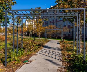 Park linearny na Bielanach w Warszawie