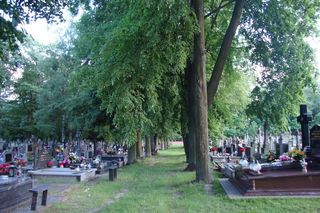 Cmentarz Farny (ul. Wesoła)