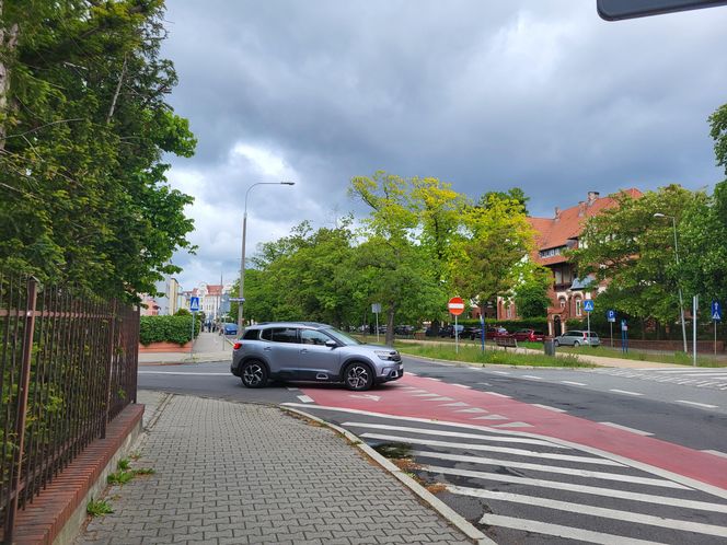Aleja Dębowa w Bydgoszczy, czyli żywa historia wśród zieleni