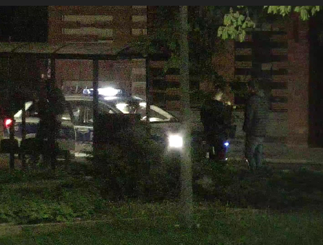 Niepoprawny romantyk zrywał tulipany w centrum Bydgoszczy. Szybko tego pożałował [ZDJĘCIA]