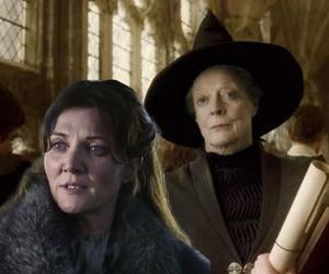 Michelle Fairley jako Minerwa McGonagall