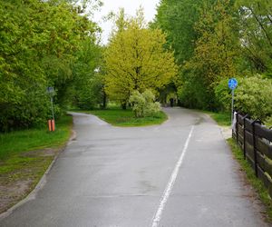 Oto najlepsze miejsca na letni spacer w Rzeszowie zdaniem AI 