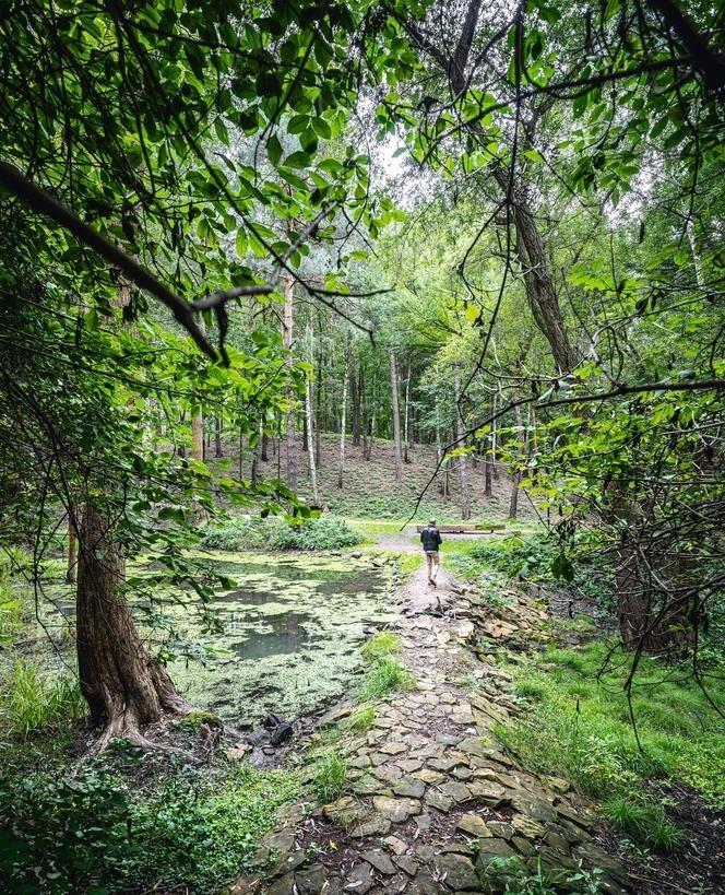 Park miejski Starachowice