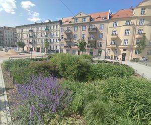 Rynek Łazarski w Poznaniu