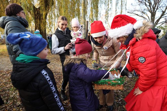 W Gdańsku rozbłysły pierwsze dzielnicowe choinki