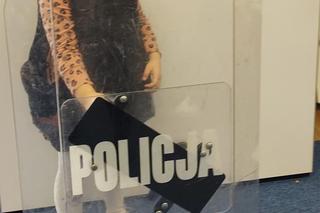 Iławska policja w przedszkolu Zielona Żyrafa