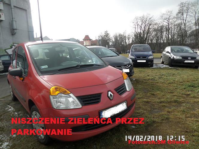 Mistrzowie parkowania z Gliwic