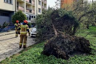 Tragiczny bilans wichur w Małopolsce. Pięć ofiar śmiertelnych i setki interwencji służb