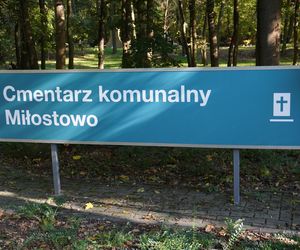 Cmentarz na Miłostowie na dwa tygodnie przed Wszystkimi Świętymi