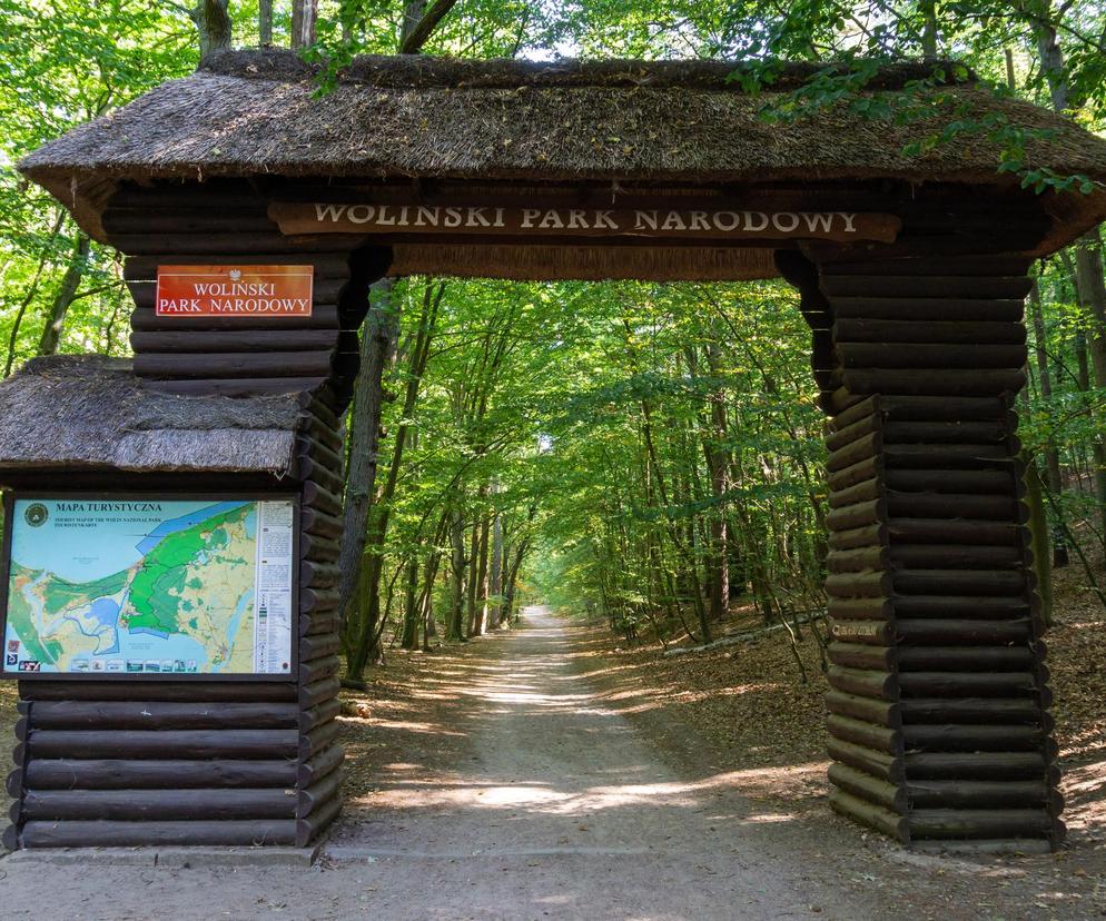 Polska na wakacje: Woliński Park Narodowy - co warto zobaczyć?