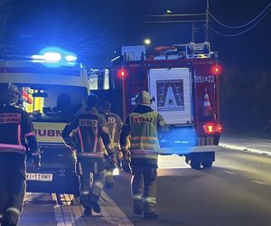 Wiązowna. Zderzenie autobusu z sarną 