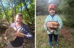 Gigantyczne grzyby w kujawsko-pomorskich lasach