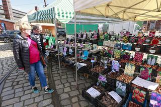 Festiwal mody, słodkości i roślin. Zdjęcia