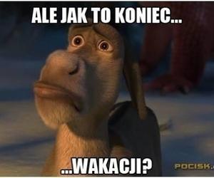 Memy na koniec wakacji