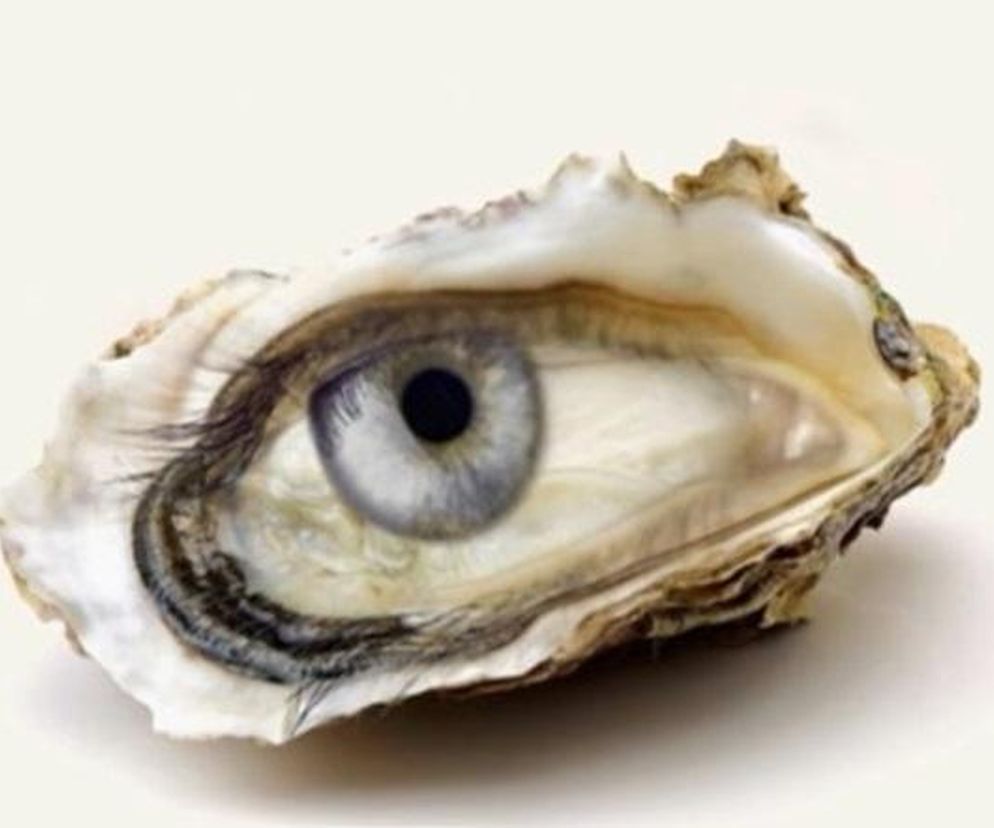 Przyjrzyj się dokładnie. To, co zobaczysz wyjawi Twoją przyszłość