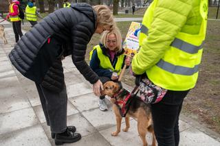 Nowi wolonariusze w łódzkim schronisku
