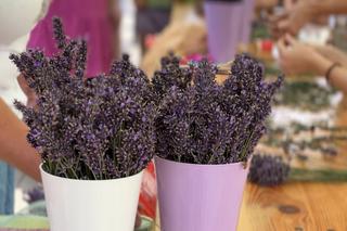 Eska Summer City Poznań: Tak bawiliśmy się w weekend 21-23 lipca	