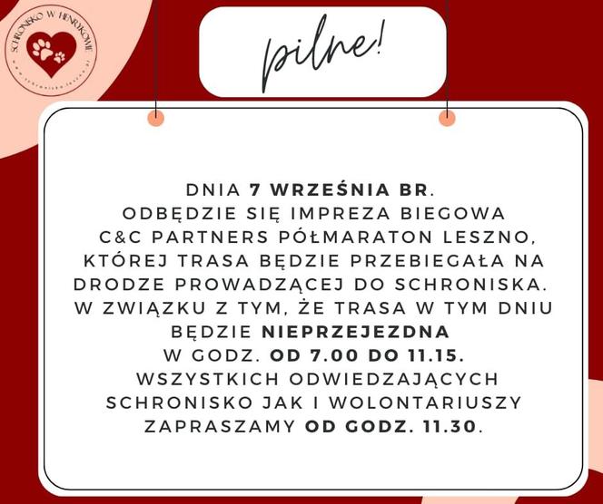 ​W sobotę przez Henrykowo koło Leszna pobiegnie półmaraton. Co z dojazdem do schroniska dla bezdomnych zwierząt?